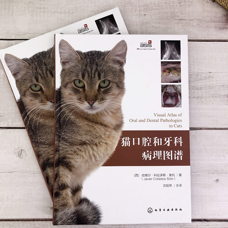 猫口腔和牙科病理图谱 犬猫组织学牙齿结构 犬猫齿系图谱 猫牙科病理图谱治疗手册小动物牙周探查图例 宠物医生兽医入门参考书