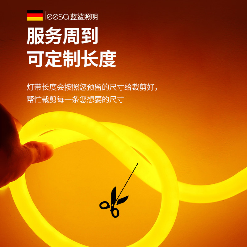 360度发光灯带硅胶圆柱形软管高亮加粗全发光24v家用氛围led灯条 - 图3