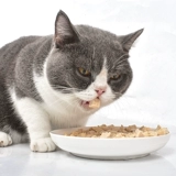 Принц замороженный сушеные закуски для кошачьего куриного зерно