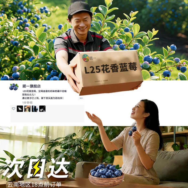 云南蓝莓高山花香新鲜水果当季现摘孕妇甜大盒蓝梅官方旗舰店包邮