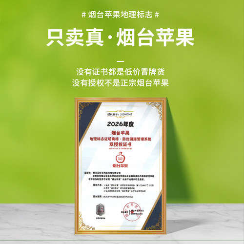 山东烟台黄金奶油富士苹果新鲜水果当季整箱现摘冰糖心包邮旗舰店 - 图3