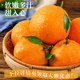 Chun Jian Raking Mandarin | Shangchao Boutique
