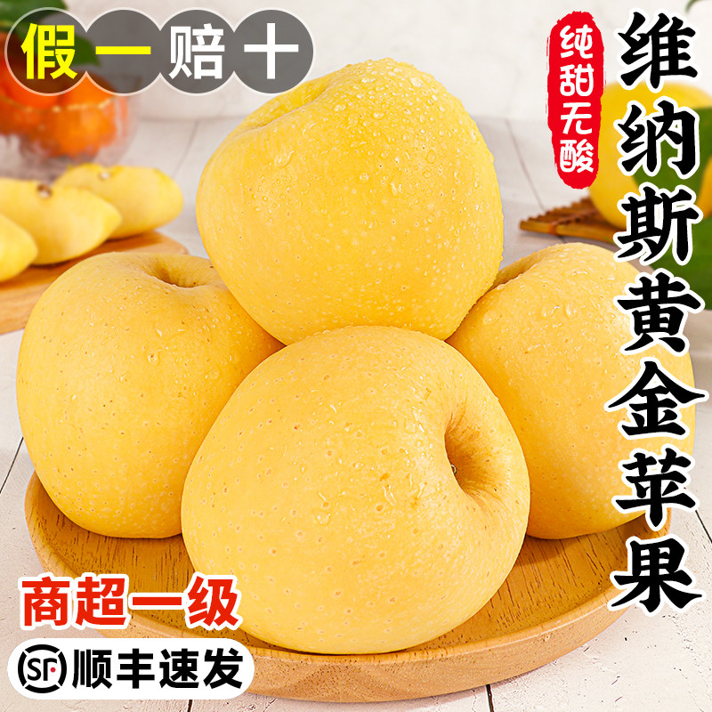 维纳斯黄金苹果5斤山东当季黄奶油 顾一苹果