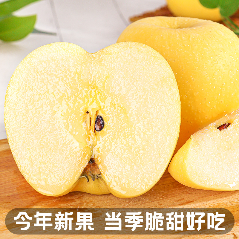 维纳斯黄金苹果5斤山东当季黄奶油 顾一苹果