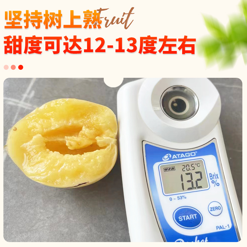 人参果新鲜水果整箱包邮云南石林树上熟特大黄肉正品官方旗舰店 - 图0