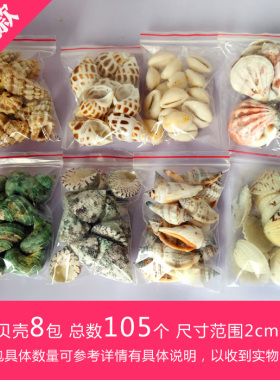 天然贝壳海螺幼儿园手工鱼缸diy