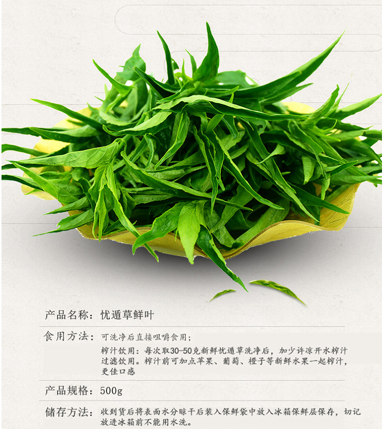 忧遁草干叶粉130克包邮鳄嘴花黎王草茶小叶种优遁草野生枝苗新鲜 - 图0