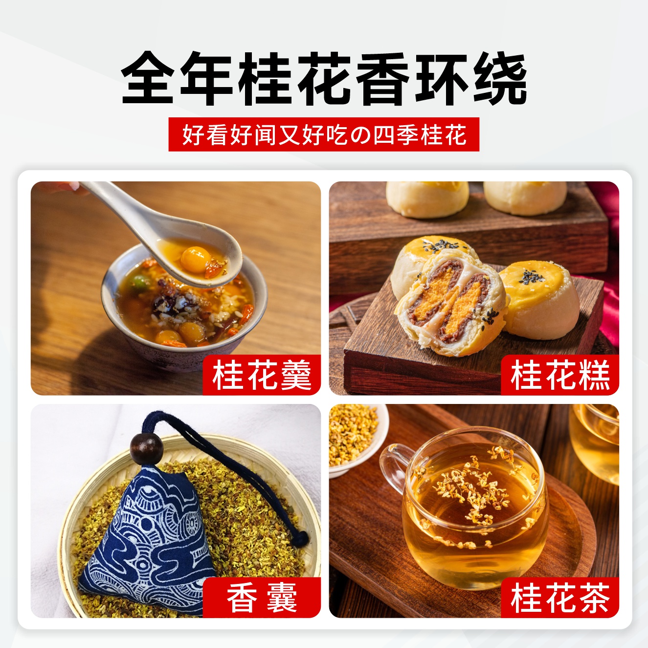 八月桂花树苗四季桂室内阳台盆栽金桂花苗室外庭院可食用花卉绿植-图3