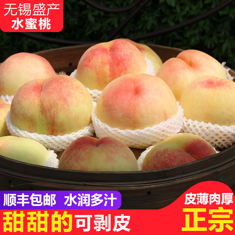 菲农旗舰店正宗无锡阳山水蜜桃7-8两6个超大软桃子新鲜现季水果阳山湖景1