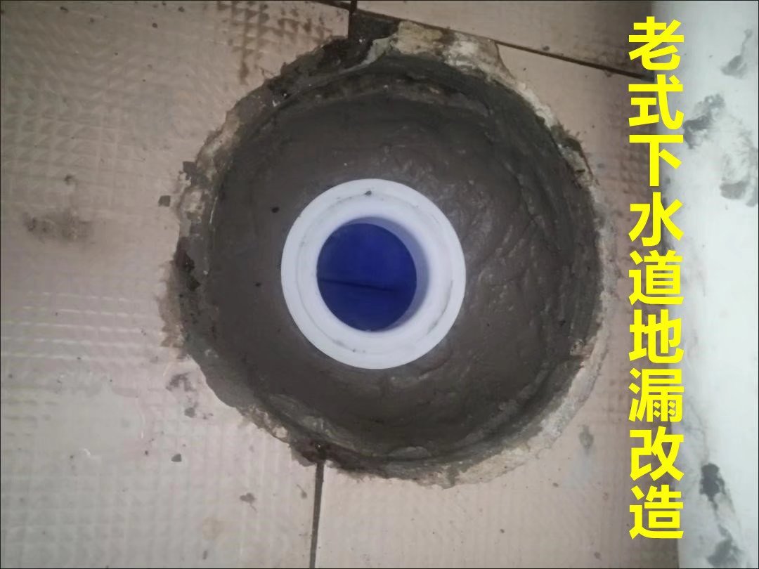 地漏防臭器下水管防臭神器下水道防虫防反味堵臭密封圈硅胶地漏芯 - 图1