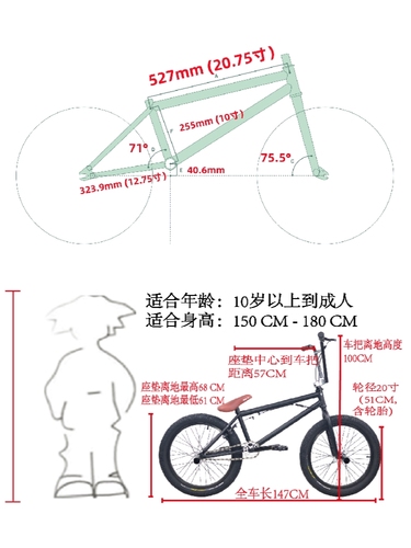 BMX小轮车20寸表演车特技动作极限单车自行车铬钼钢120响花鼓包邮