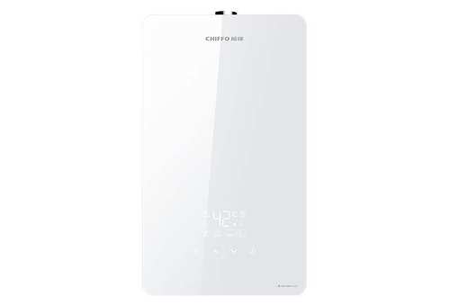 前锋 JSQ25/30- T301家用燃气热水器强排智能恒温天然气13升16升 - 图0