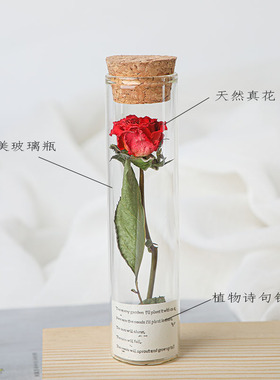 试管干花生日礼物玻璃试管