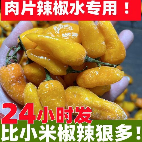 【冰冻魔鬼椒】福建永安黄椒非海南灯笼小米辣剁椒特辣肉片辣椒水 - 图2