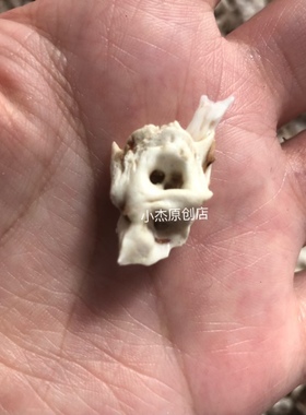 天然真品未打磨生猪精骨猪听骨不打磨棱角送2米红绳宝宝出门防惊