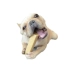 Nhật Bản Multi-Gold Diamond Cheese Stick Pet Molar Stick Dog Dog Canxi Làm sạch răng Dinh dưỡng Cắn chó Ăn vặt - Đồ ăn vặt cho chó