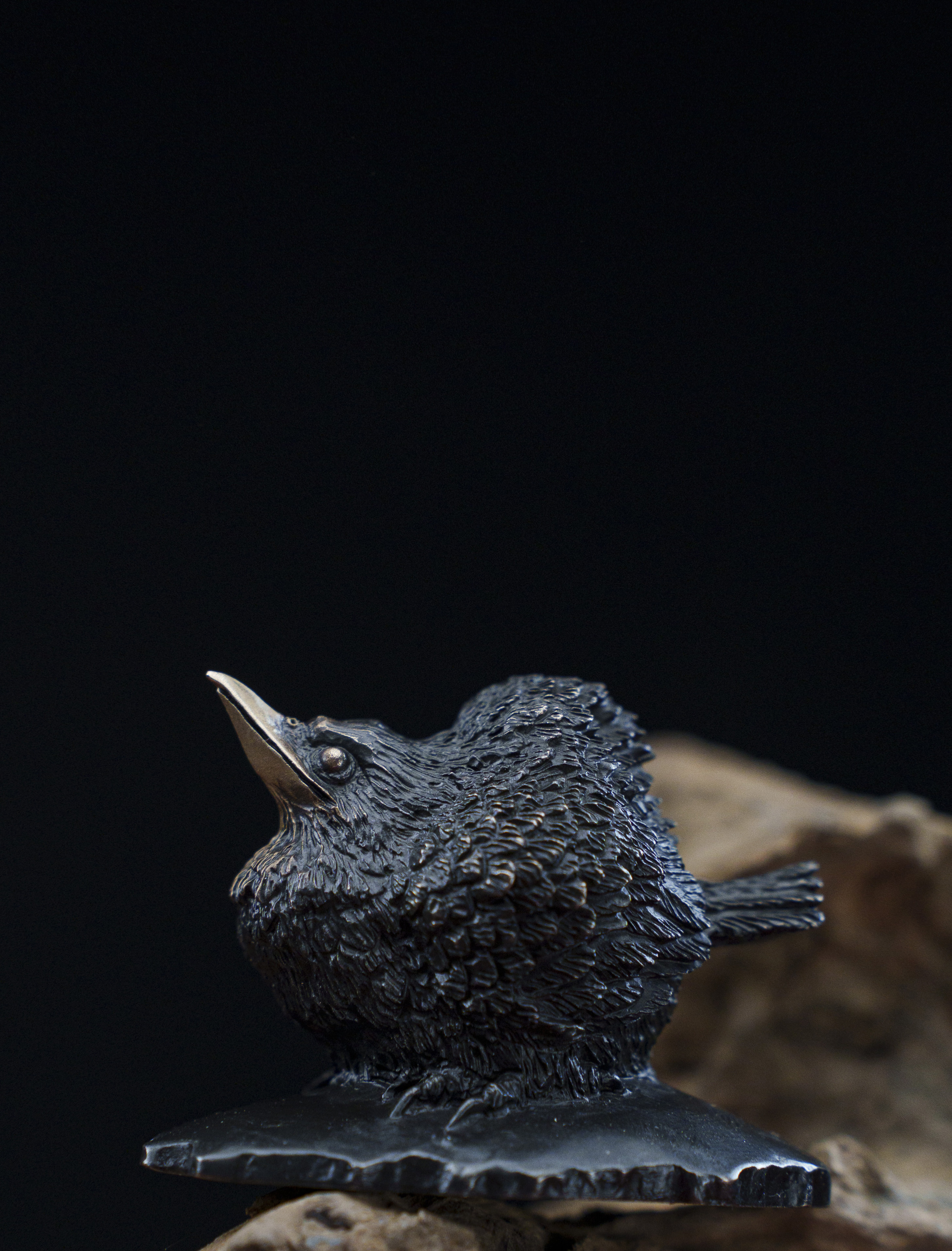 秋坞居 铁拳匠造联名出品 呆鸟青铜手把件 《敦敦鸟》 手把件茶宠,淘宝优惠券,粉丝福利购,淘宝优惠卷