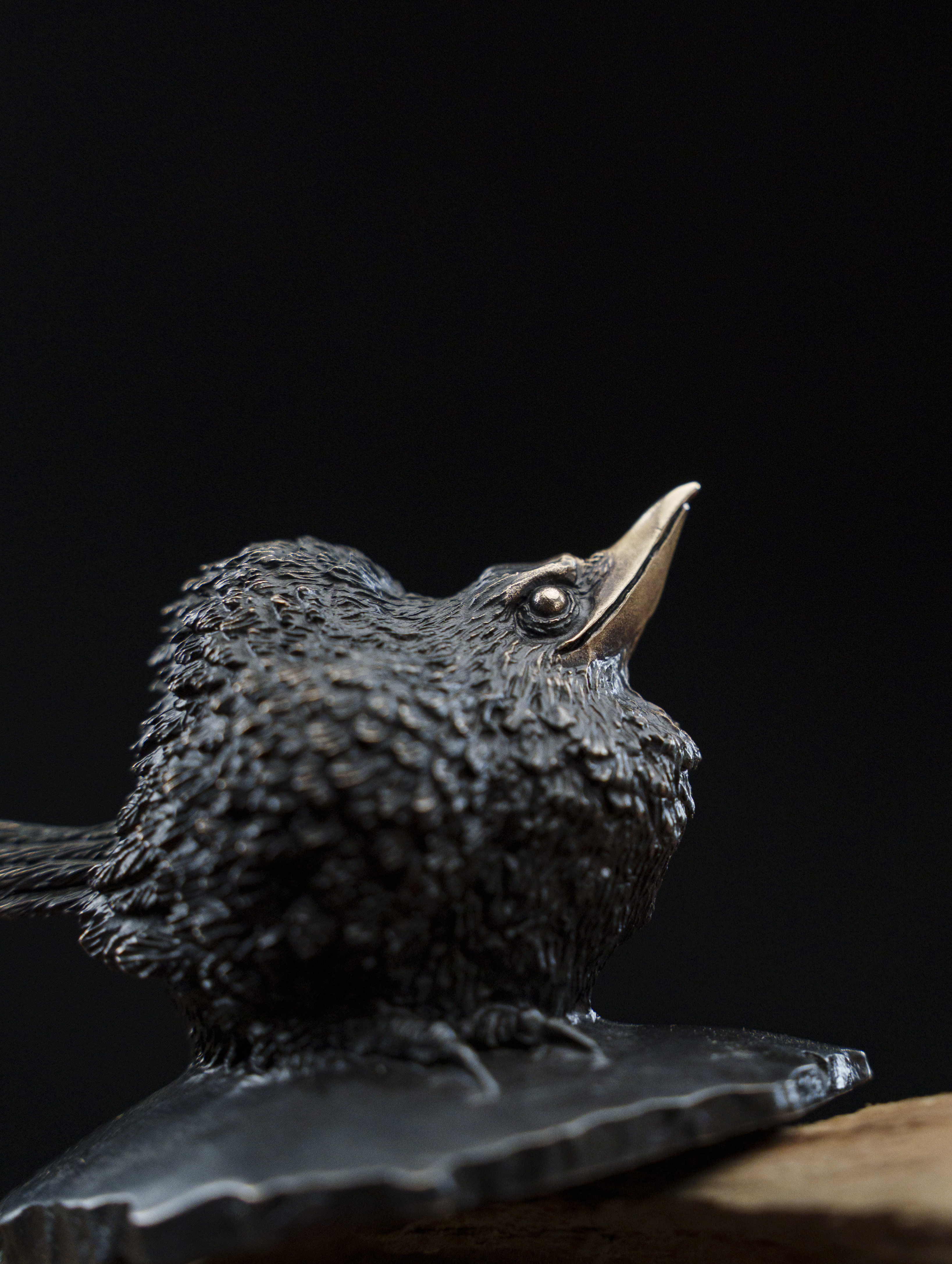 秋坞居 铁拳匠造联名出品 呆鸟青铜手把件 《敦敦鸟》 手把件茶宠,淘宝优惠券,粉丝福利购,淘宝优惠卷