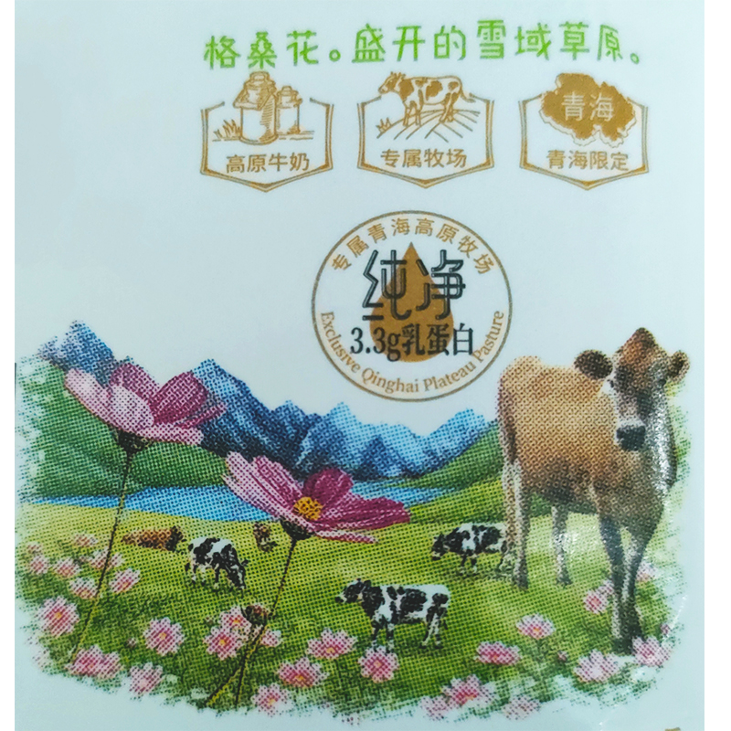 青藏牧场高品纯牛奶娟姗奶牛整箱200g*16袋儿童营养早餐青海牛奶-图2