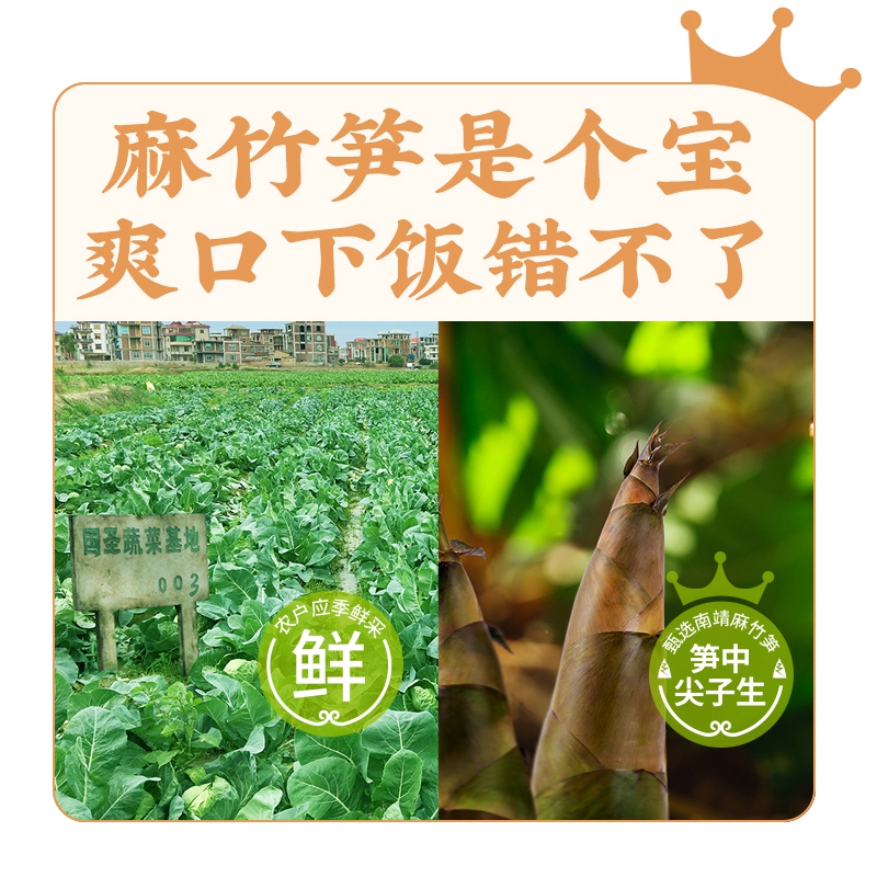 红太阳国圣笋丝洋白菜50g*3包福建特产下饭配粥小菜酱菜佐餐咸菜 - 图2