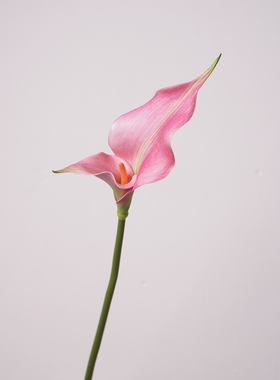 雪莉仿真花餐桌装饰花艺马蹄莲