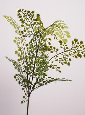 仿真绿植北欧风摆件文竹叶高品质