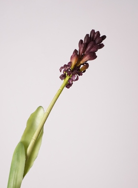 高品质软胶风信子果假花花束居家摆设花艺装饰品摄影道具花材批发