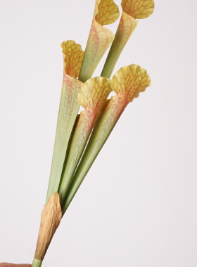仿真花瓶子草假花居家摆设花艺装饰品摄影道具花材插花束