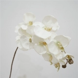 Европейская стиль ретро -симуляция Phalaenopsis осень цвет цветочный цветок