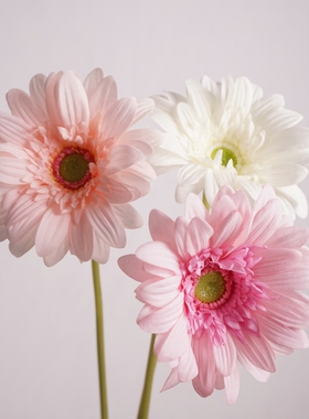 雪莉仿真花餐桌装饰花艺非洲菊