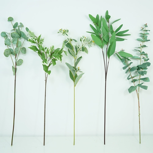 Сюмирование нордического стиля зеленый растение черепаха спинка доля декоративная трава Длинные зимние зеленые листья ugli листовые цветы с растениями травы