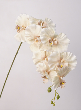 雪莉仿真花落地装饰假花蝴蝶兰