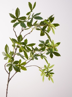 仿真绿叶枝条装饰 新款大枝手感豆瓣叶家居客厅桌面假花绿色植物