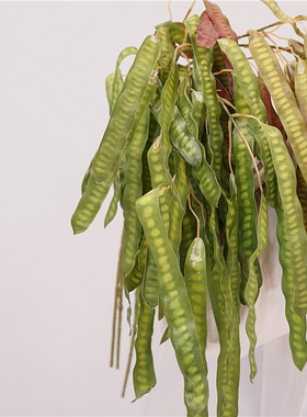 藤条豆角绿植装饰插花配材塑料