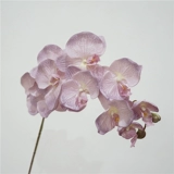 Европейская стиль ретро -симуляция Phalaenopsis осень цвет цветочный цветок