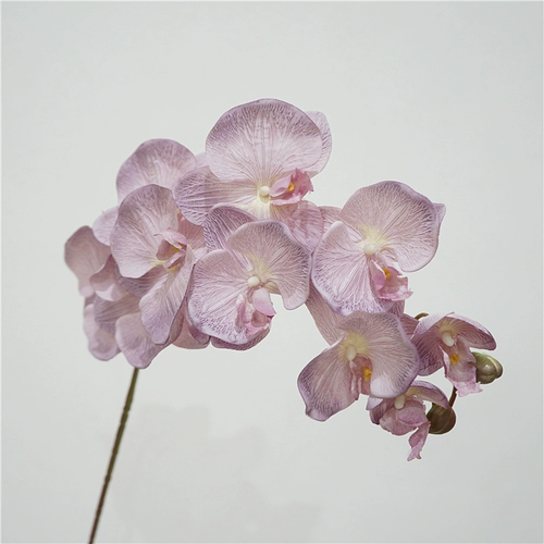 Европейская стиль ретро -симуляция Phalaenopsis осень цвет цветочный цветок