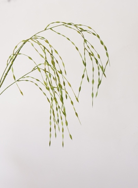 垂吊麦穗 仿真水稻穗装饰假花家居客厅桌面摆件绿色植物