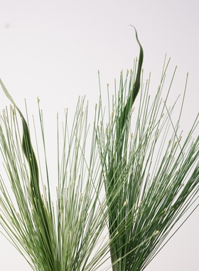 仿真松针喷泉草假花绿植DIY手工制作装饰花材家居摆件拍摄道具