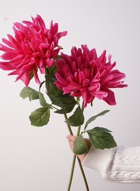 仿真花手感爱莎大丽花菊花仿真花束diy家居装饰摆件多色混搭礼物
