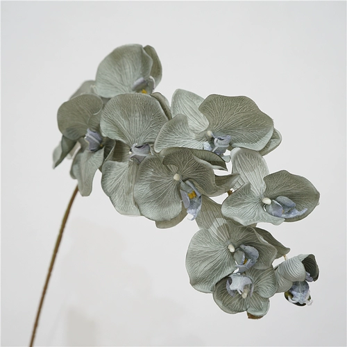 Европейская стиль ретро -симуляция Phalaenopsis осень цвет цветочный цветок