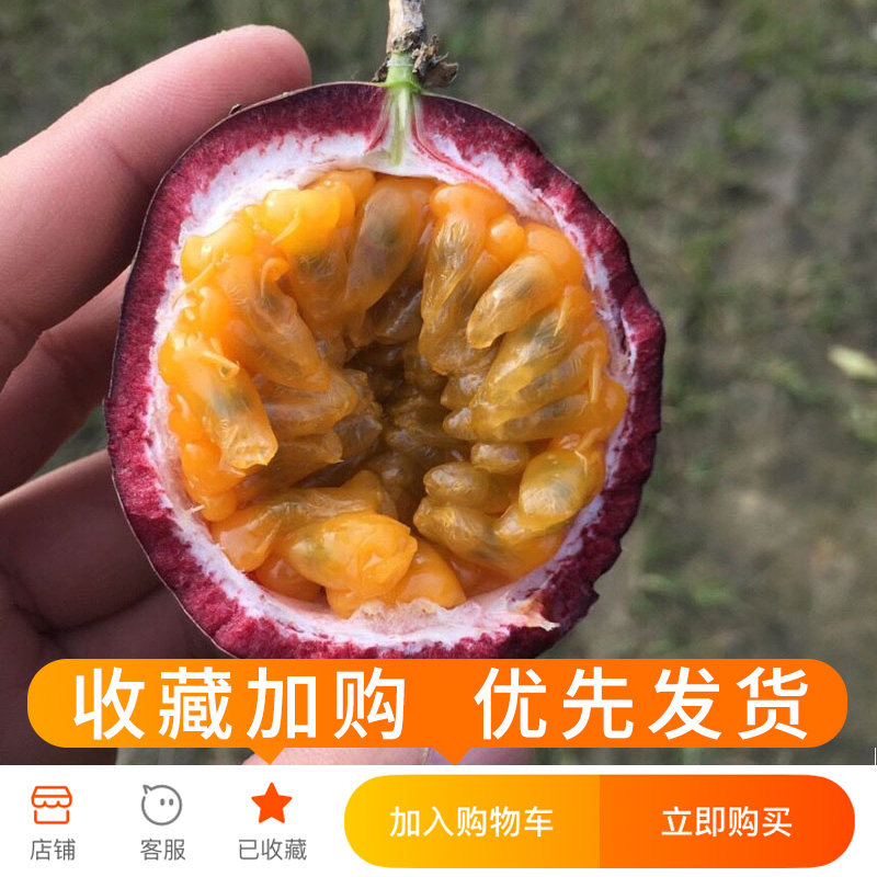 庶州农社旗舰店广西百香果中果5斤一级果现摘新鲜水果蜂蜜茶百香果果酱农产品1