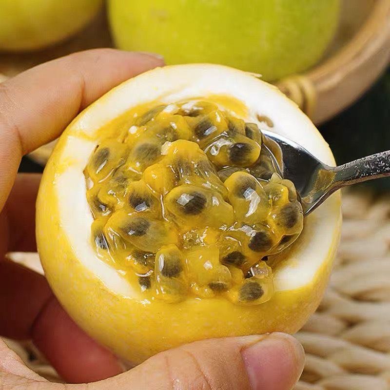 庶州农社旗舰店。黄金百香果5  精选大果特大一级包邮黄皮果纯甜新鲜水果孕妇水0