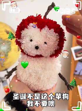 DIY苹狗红苹果创意毛线编织材料包自制礼物可爱钩织零基础简单