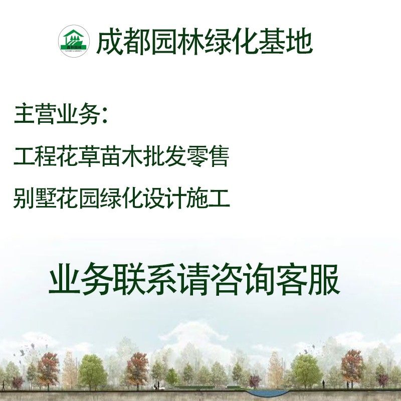 蓝雪花盆栽大苗阳台好养耐晒花卉庭院易活屋顶墙四季开花爬藤植物,淘宝优惠券,粉丝福利购,淘宝优惠卷