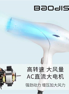 保迪斯宝迪斯W12电吹风机家用大