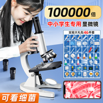 Optical Microscope Elementary School Students Special Biology Children Science Experiment Home Junior High School Small Electronic Desktop Professional Class Can Watch Sperm Bacteria Holding 8 High Times High Definition Mobile Phone Portable