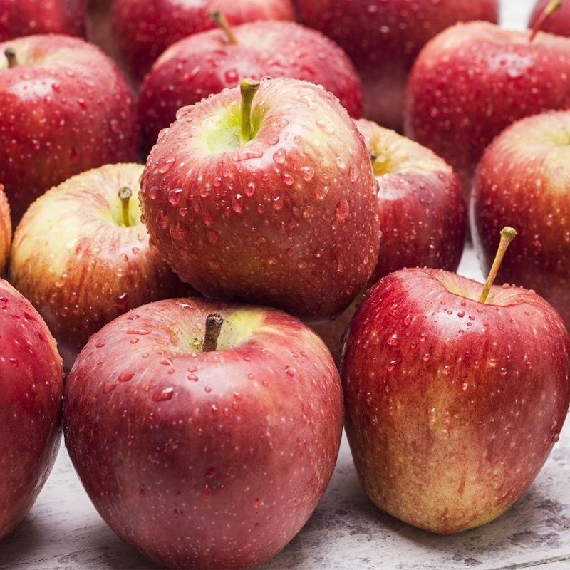 新西兰加力果水果新鲜当季进口红苹果gala嘎啦苹果时令水果脆甜香,淘宝优惠券,粉丝福利购,淘宝优惠卷