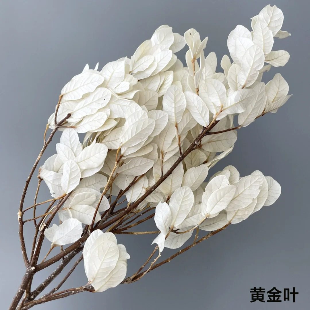 ins风家居软装婚礼布景干花永生花花束真花满天星装饰婚礼装饰,淘宝优惠券,粉丝福利购,淘宝优惠卷