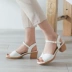 Cửa hàng Dadong flagship 2019 mới hè đơn giản dày với giày cao gót khóa dây hở ngón nữ DW19X1028A - Sandal Sandal