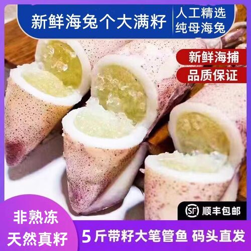 海兔子满籽纯母笔管鱼新鲜青岛海鲜冷冻水产带籽墨鱼仔全籽籽乌 - 图0